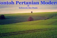 Contoh Pertanian Modern Contoh Pertanian Modern Di Indonesia dan Dunia