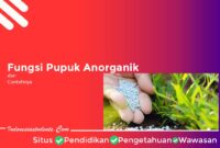 Fungsi Pupuk Anorganik Manfaat Pupuk Anorganik